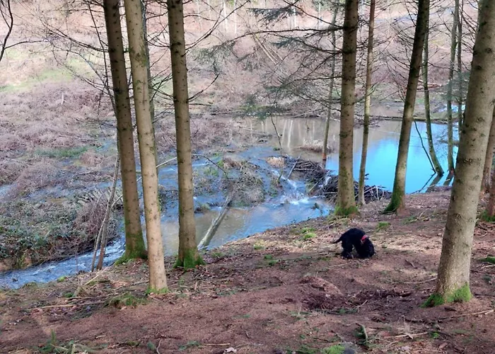 Bed & Breakfast La Cour De Grandmenil 3*