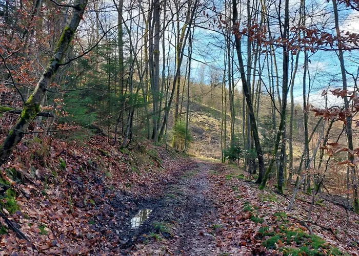 La Cour De Grandmenil Manhay